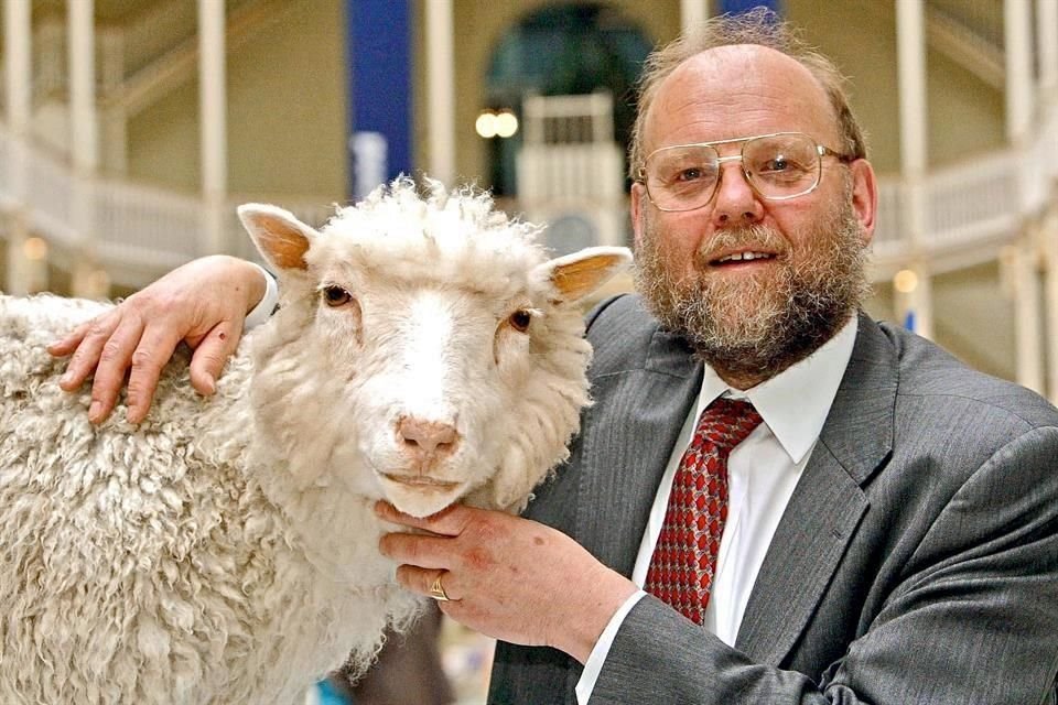 El científico británico Ian Wilmut y el cuerpo disecado de la oveja Dolly en el Museo Real de Edimburgo, en una imagen del 2003.