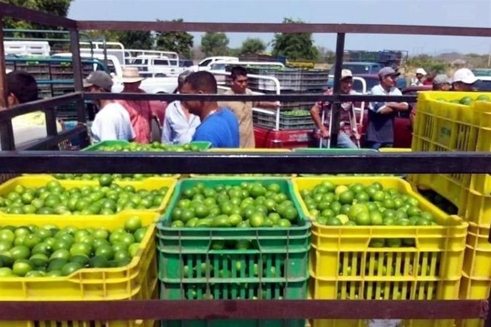 Este jueves se cumplen cuatro días de paro en al menos 15 empacadoras de limón en Apatzingán y otras más en una zona de Buenavista.