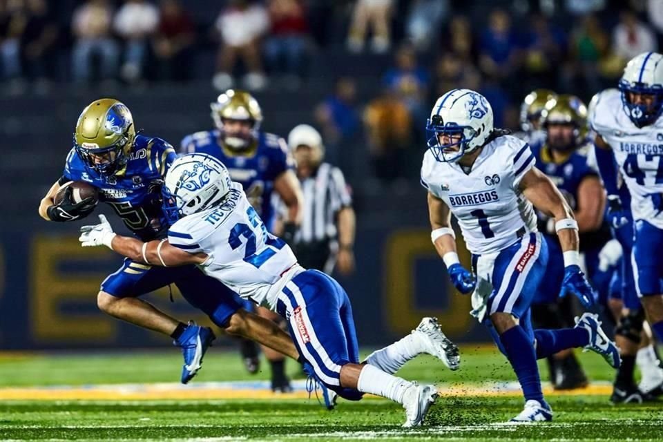 Los Auténticos Tigres lograron su segundo triunfo de la ONEFA al imponerse 17-7 a Borregos CEM en el Gaspar Mass. Aquí las imágenes del partido.