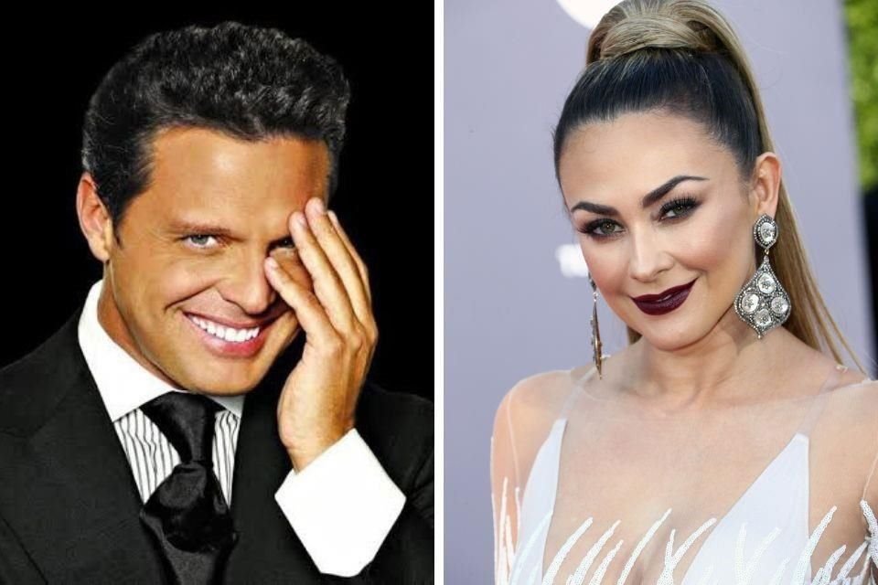 Aracely Arámbula pidió que Luis Miguel tenga corazón para sus hijos, pues asegura que no tiene interés de verlos.