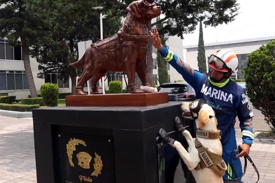 La perrita Maya, de ocho meses, fue presentada el pasado 21 de julio y continúa en fase de entrenamiento.