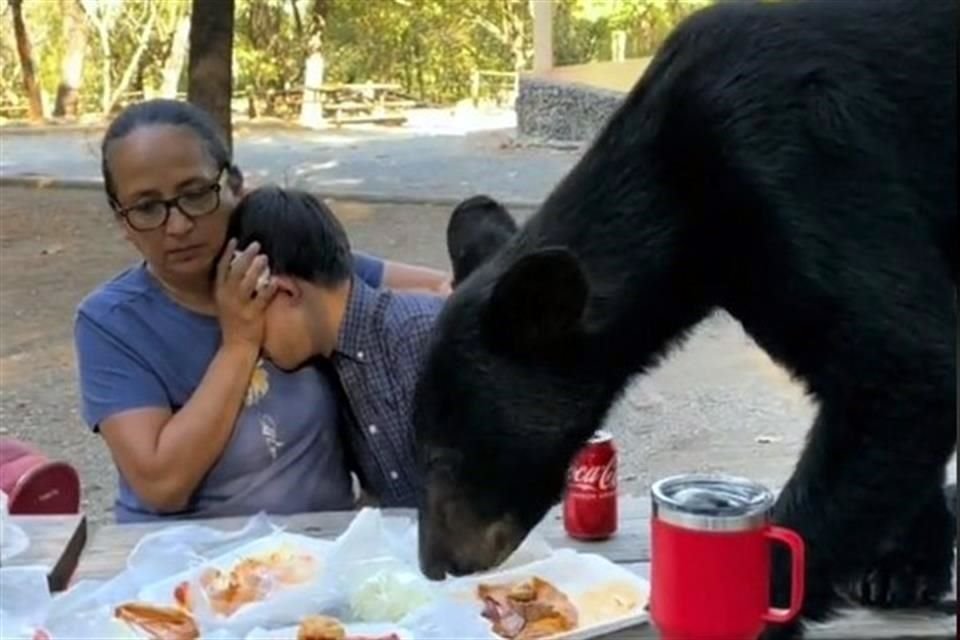 Silvia Macías protegió el lunes a su hijo Santiago, quien tiene síndrome de Down, cuando un oso se subió a la mesa donde convivían en el Parque Chipinque.