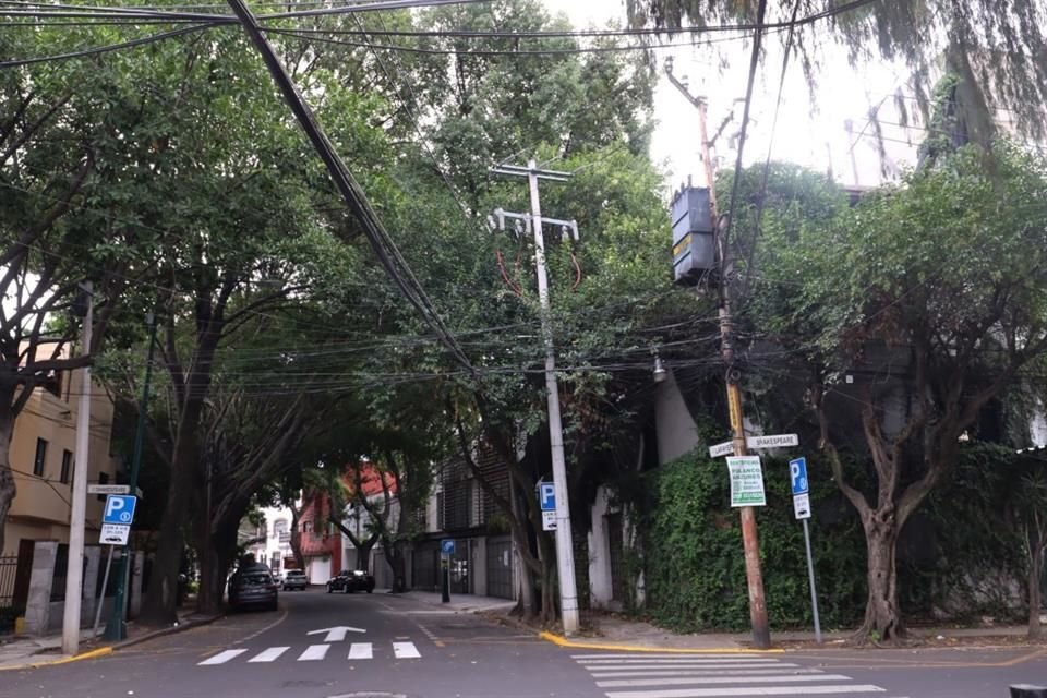En la Colonia Anzures no sólo crecen los árboles, sino también los conjuntos de cableado que, incluso, llegan a provocar sobrepeso en los postes.