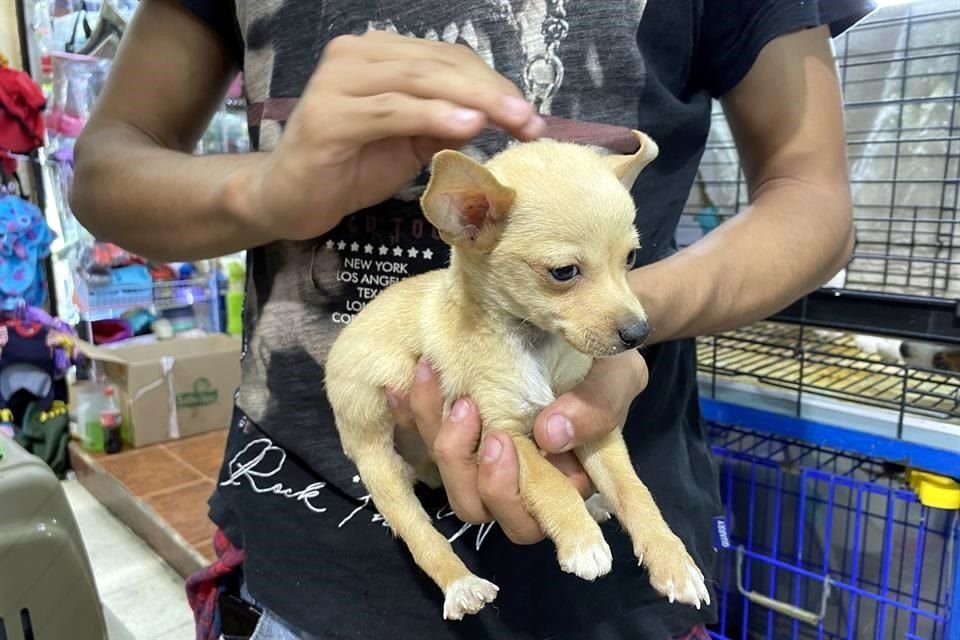 Activistas buscan que el recurso legal que promovieron impida la venta de animales en el lugar.