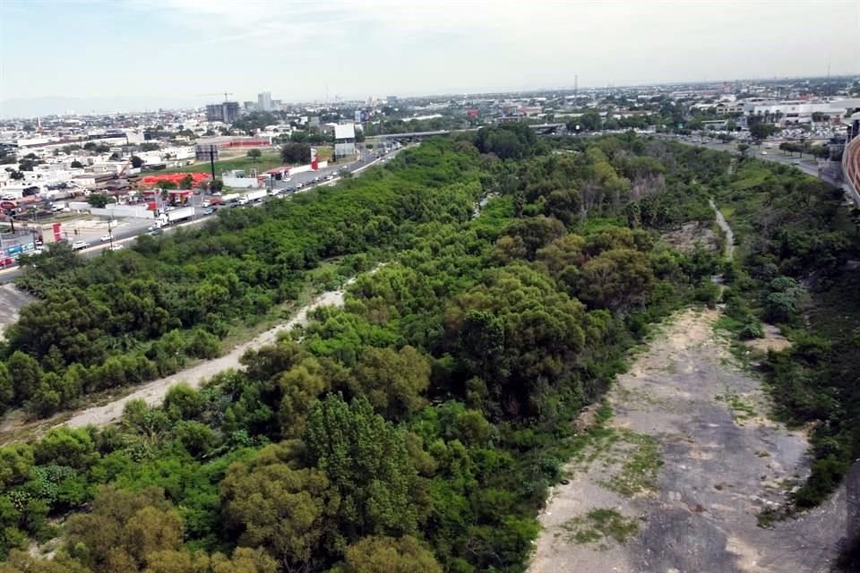 El Río Santa Catarina reverdeció con las lluvias, aunque mantiene zonas afectadas por incendios y desmonte.