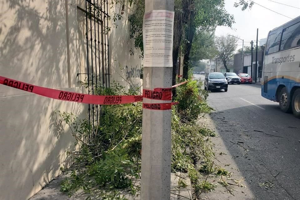 La rama fue retirada de la vialidad, pero quedó obstruyendo la banqueta.