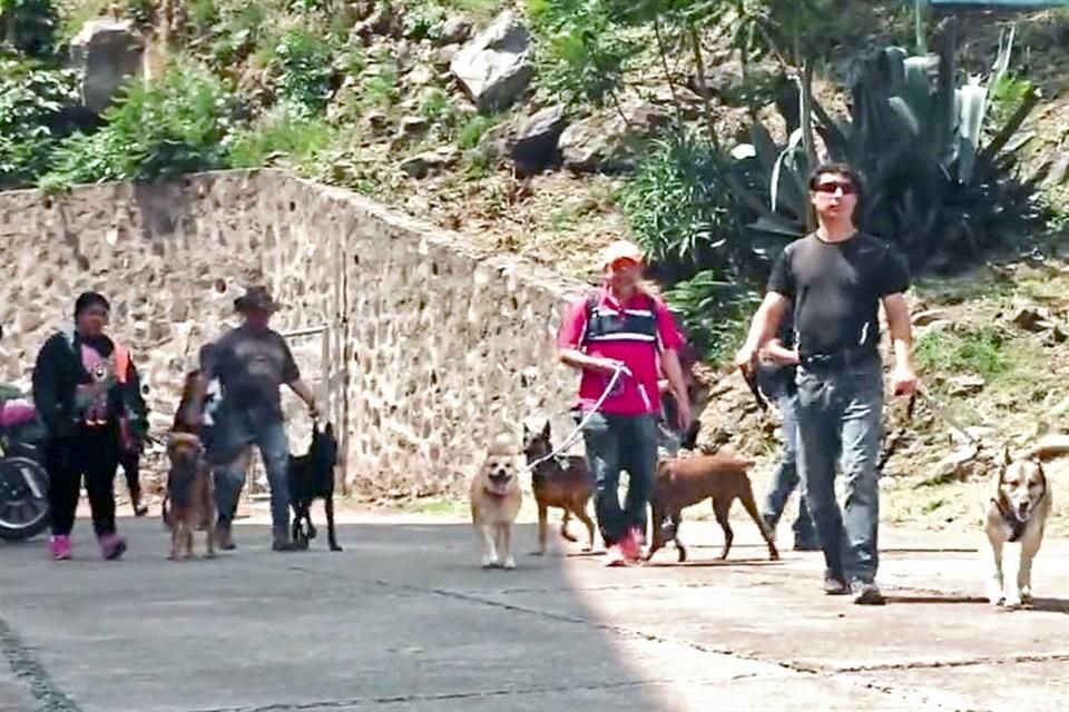 Para participar en el taller solo es necesario llevar a la mascota, una correa y premios o croquetas.