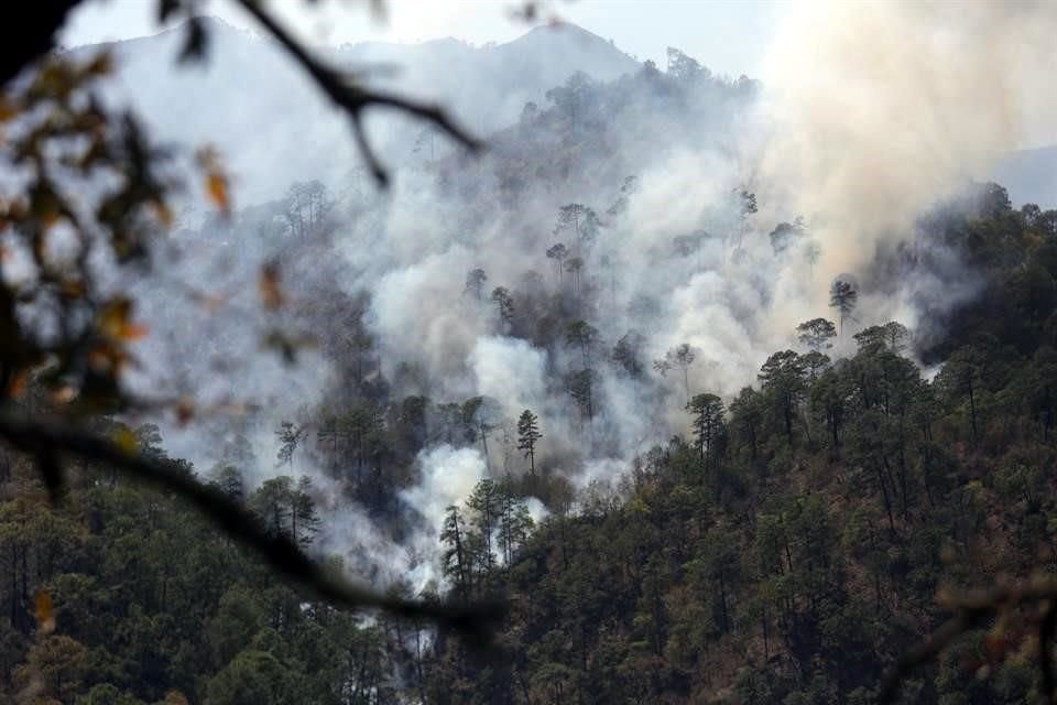 Por más de un mes, los brigadistas han trabajado para contener el fuego en distintos puntos de la Entidad.