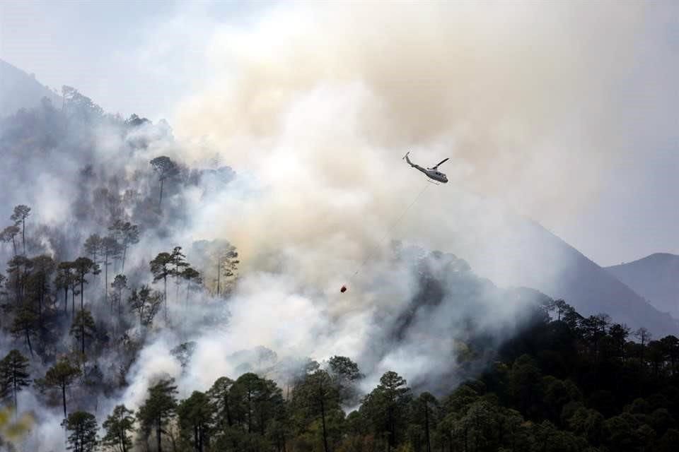 Los brigadistas combatieron el fuego con ayuda de helicópteros.