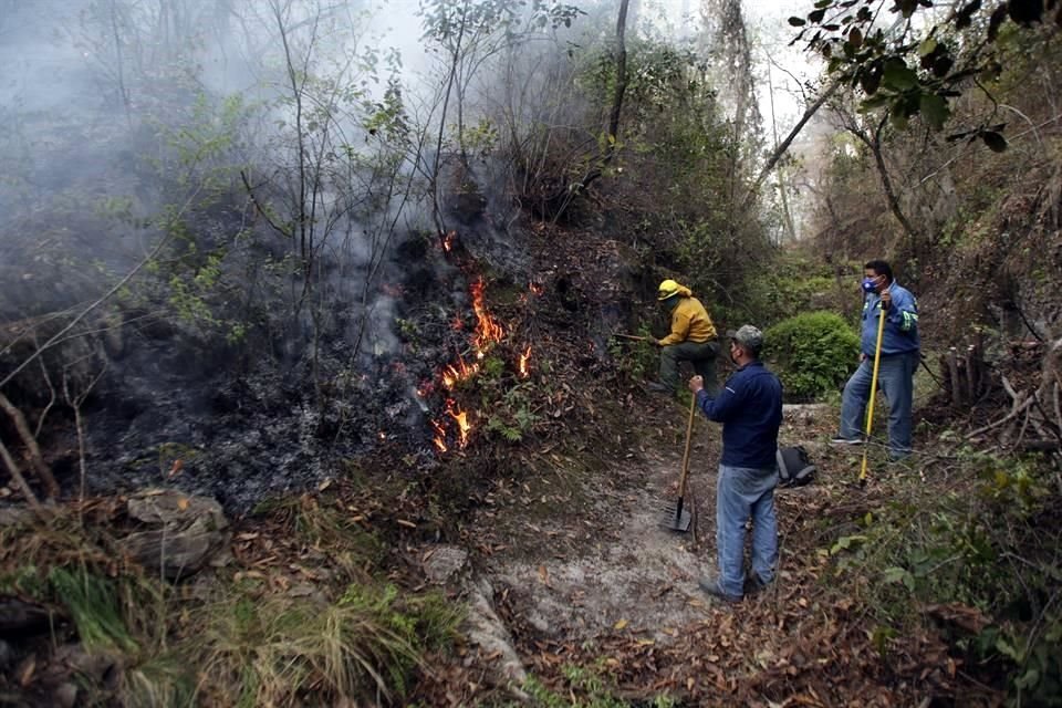 Labores de combate por parte de brigadistas para contener el fuego en Nuevo León.