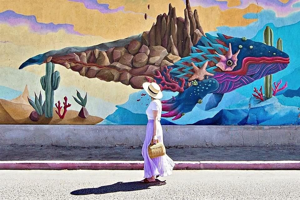 Abrazada por montañas, desierto, el Mar de Cortés y el Océano Pacífico, Baja California Sur es un escenario que atrae a los viajeros.