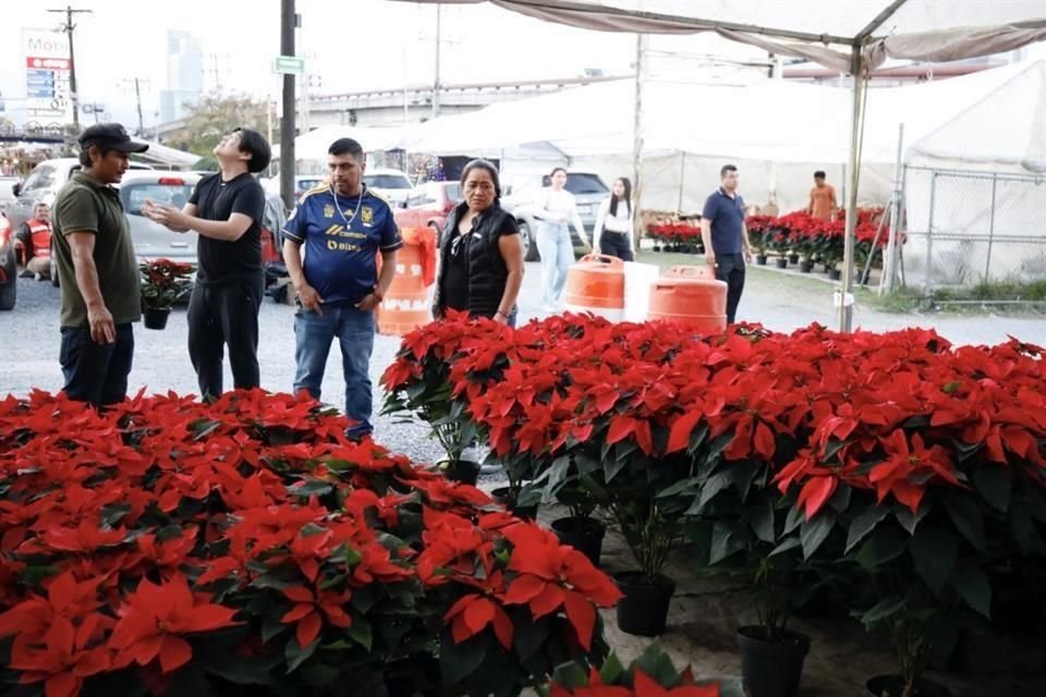Familias completas acudieron a pasear a la Feria del Pino ubicada en la Avenida Morones Prieto, en Monterrey.