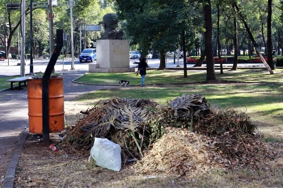 Autoridades señalaron que sembrarán 200 árboles en el área.