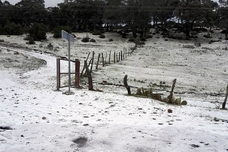 El aguanieve cayó con más intensidad en la Carretera 61 Galeana - Doctor Arroyo.
