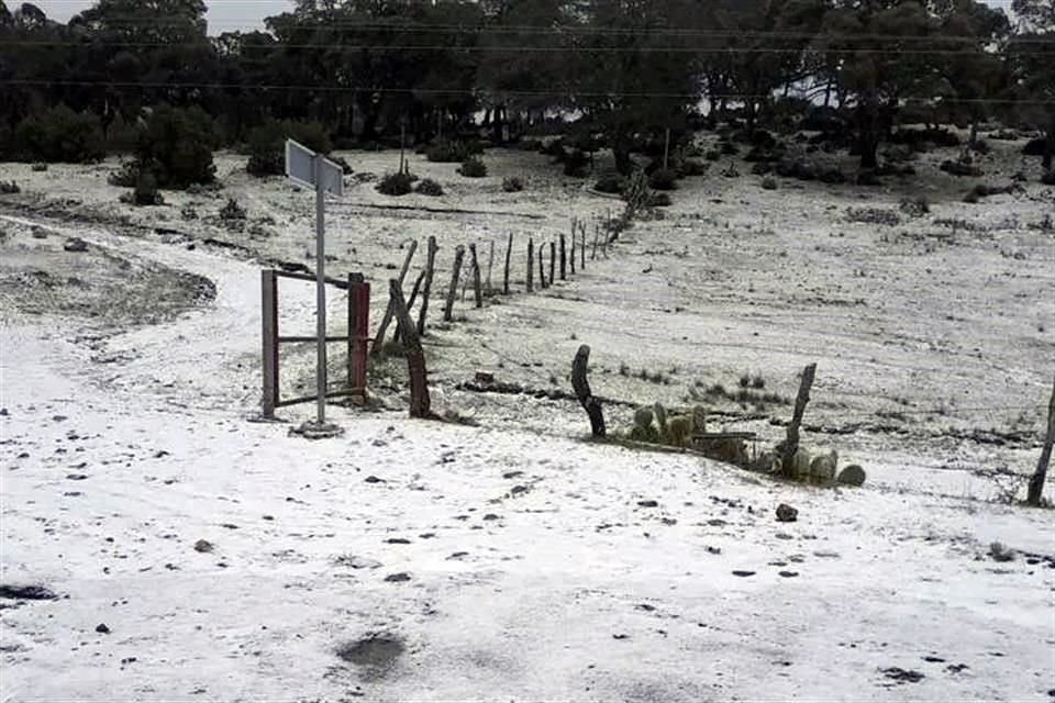 Caída de nieve en Nuelo León.