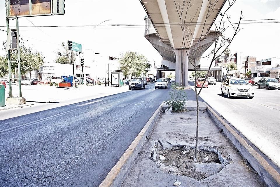 El programa estatal incluye la cuestionada colocación de árboles bajo el Metro.