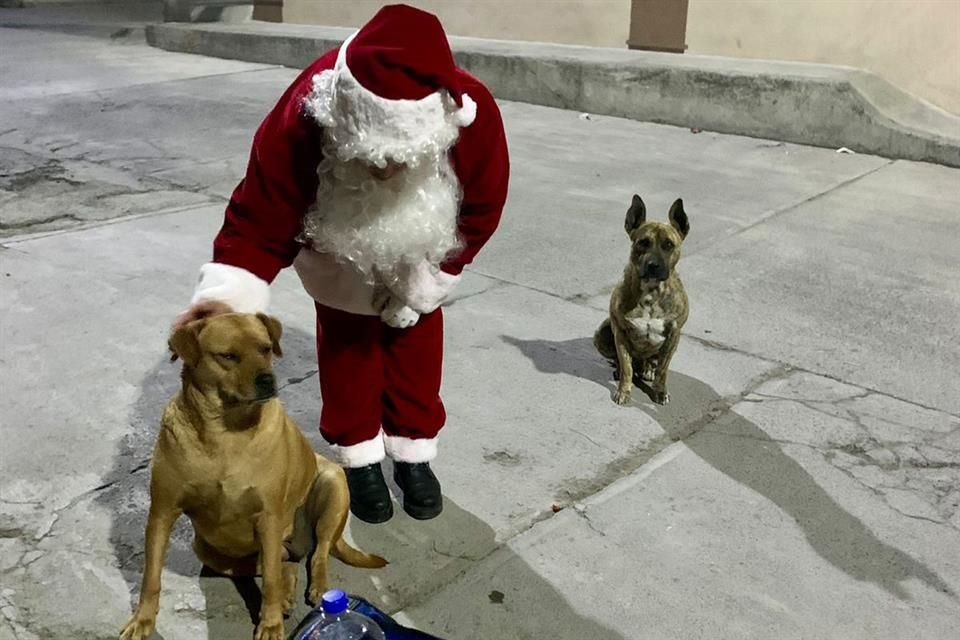 Tanto en Navidad como en Año Nuevo, la enfermera Yadira Olvera preparó una cena para canes de las calles y rescatados de Ecatepec, Estado de México.