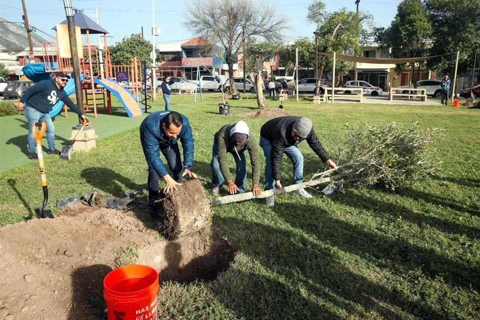 El municipio nicolaíta informó en un comunicado que la meta del programa es plantar 370 árboles.