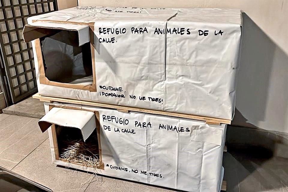 Las casitas son entregadas sin costo a quienes deseen ayudar a un perro o gato sin hogar.