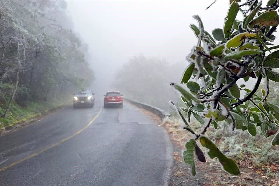 Personal del Parque Chipinque pidió precaución a los conductores al subir a la meseta.