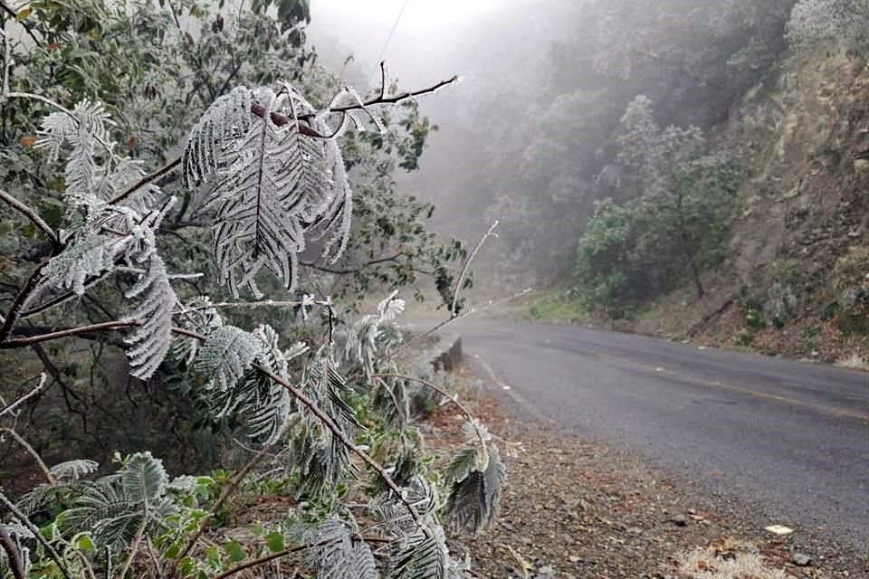 Camino al Parque Chipinque, en San Pedro.