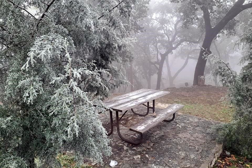 Las diferentes zonas del parque se cubrieron de una ligera capa blanca.