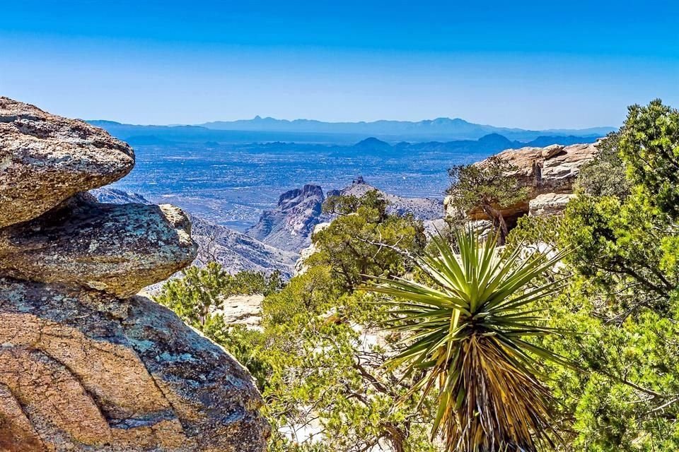 Mt. Lemmon.