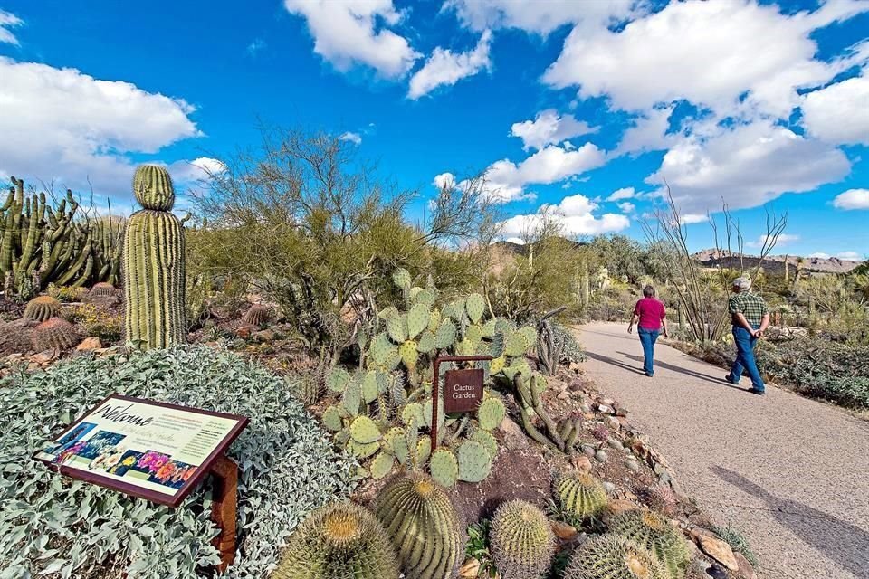 Arizona-Sonora Desert Museum.