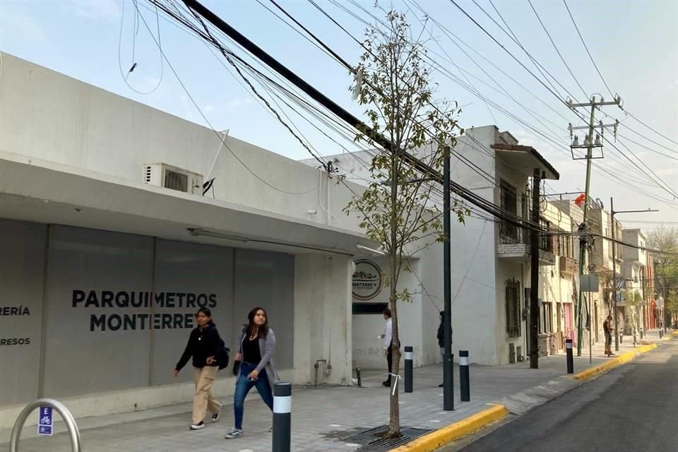 Algunos árboles plantados en el corredor de la calle Modesto Arreola se encuentran muy cerca de telarañas de cables.