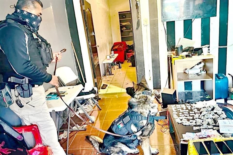 El cateo se llevó a cabo en una casa de la calle Madagascar, entre Luxemburgo y Laos, en la Colonia Prados de la Cieneguita.