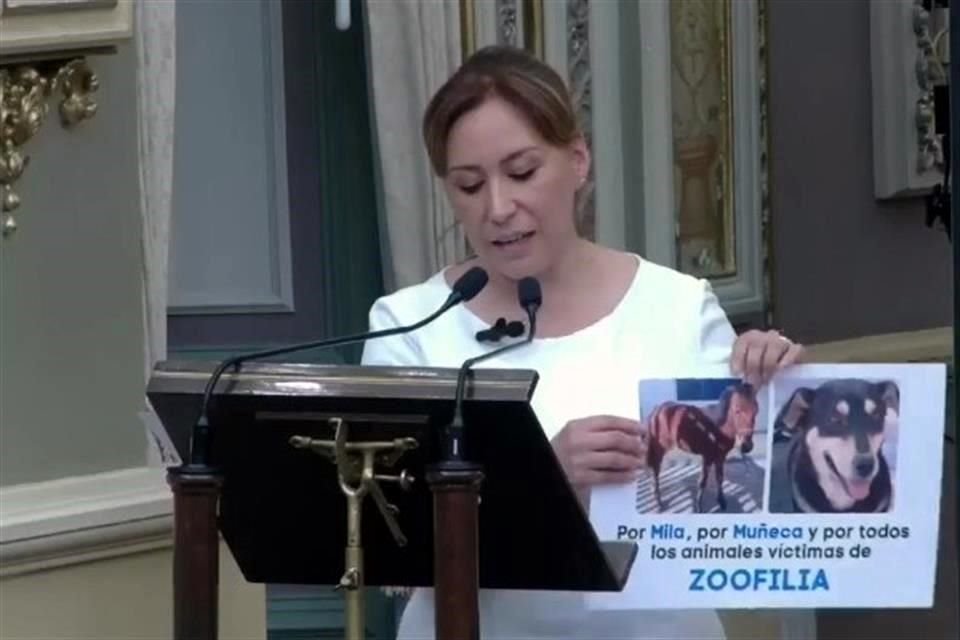 En el Pleno, legisladores recordaron a animales que fueron agredidos sexualmente y perdieron la vida.