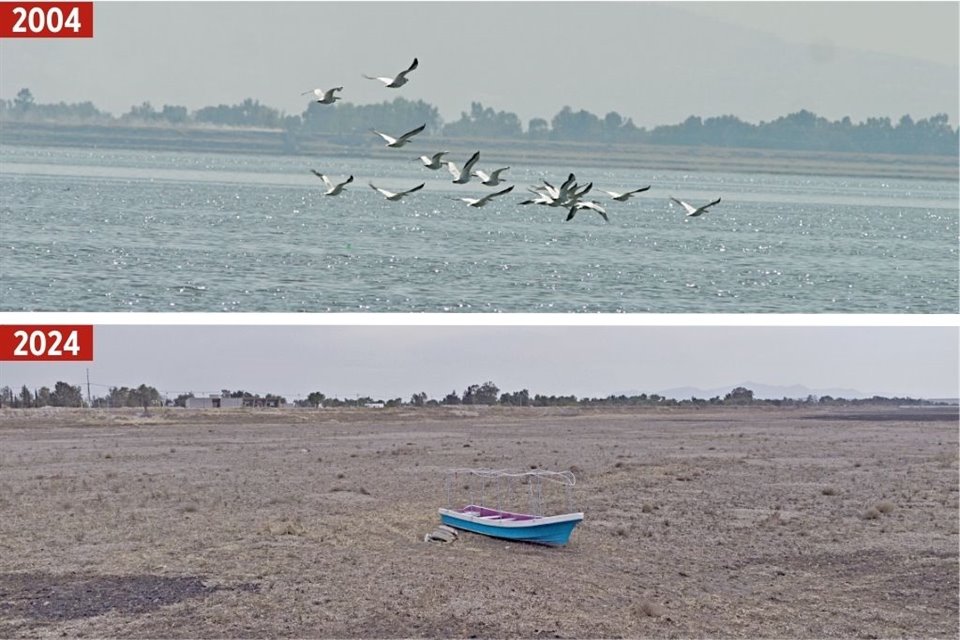 Tras quedar sin agua, la Laguna de Zumpango, se convirtió en llanura árida; aquí un comparativo de cómo lucía hace 5 años y cómo se ve hoy.