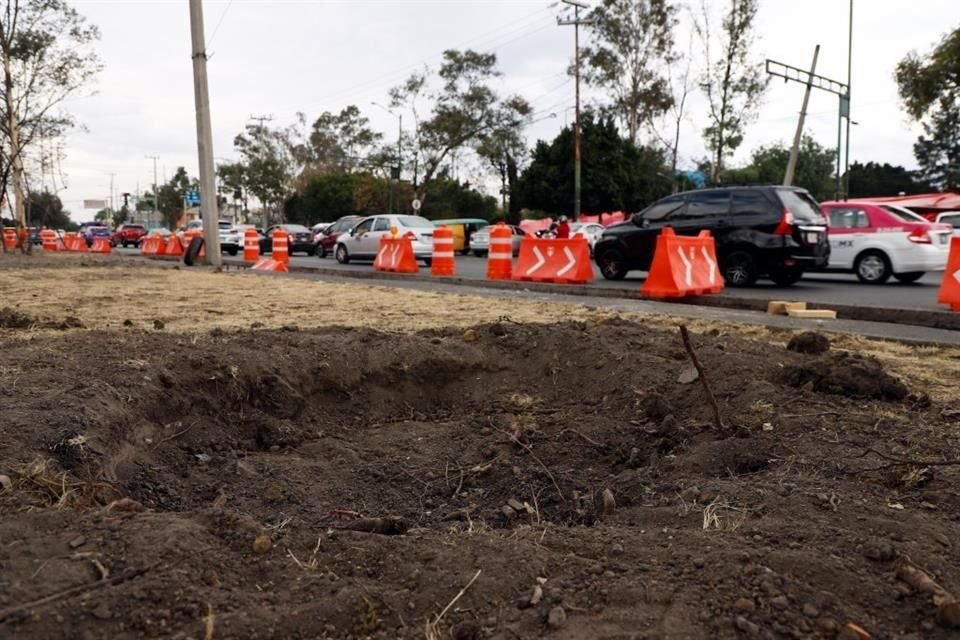 Vecinos se oponen al retiro de árboles por la Línea de Trolebús.