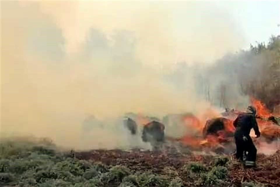 El fuego inició en pastizales.