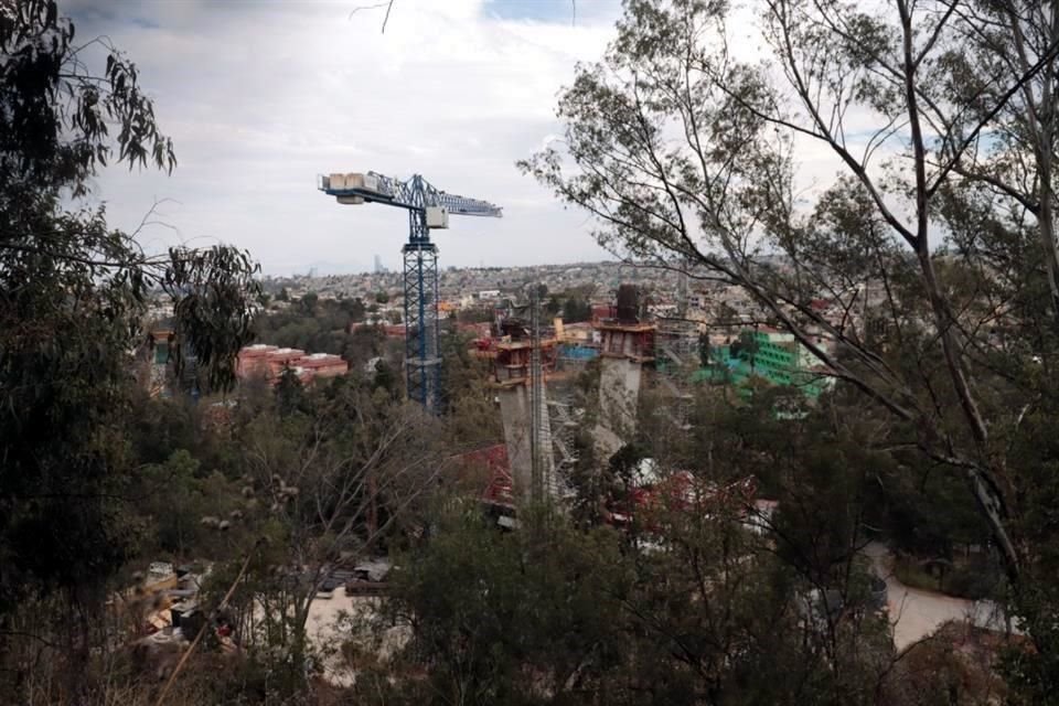 Según un reporte de la Auditoría Superior de la Federación, 628 árboles adicionales fueron retirados por obras del Tren México-Toluca.