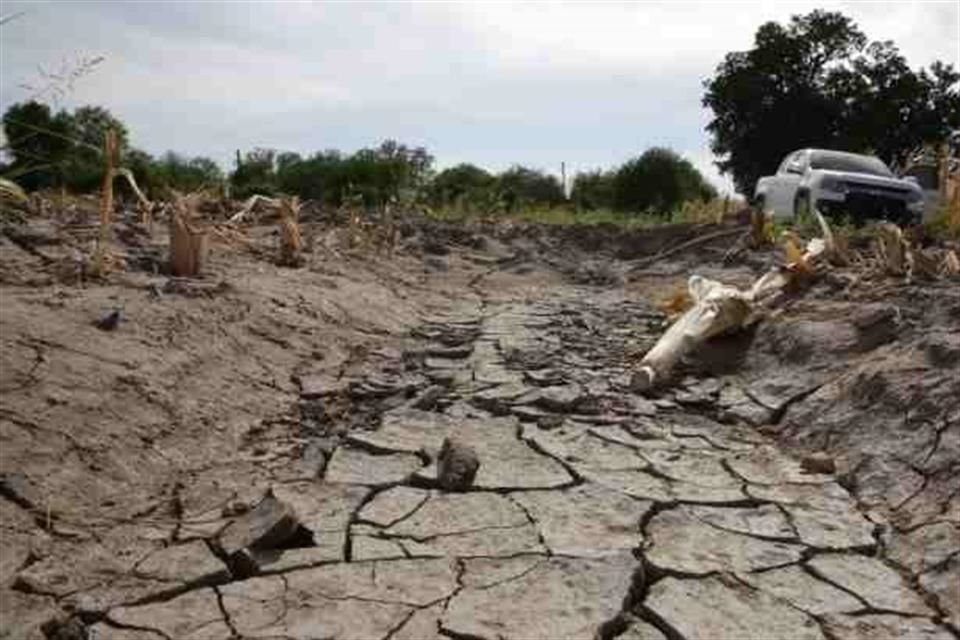 Los agricultores mexicanos requieren soluciones para atender los retos derivados del cambio climático.