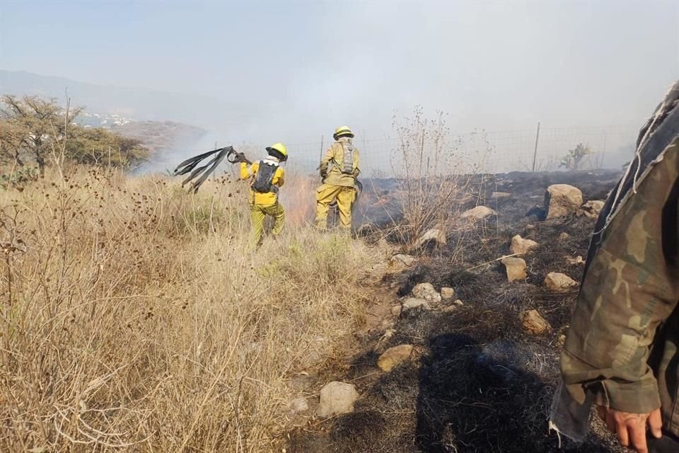 En Atizapán, 45 hectáreas fueron afectadas por una conflagración. 