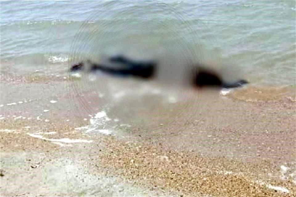 Los cuerpos de las víctimas fueron hallados en la orilla de la playa.