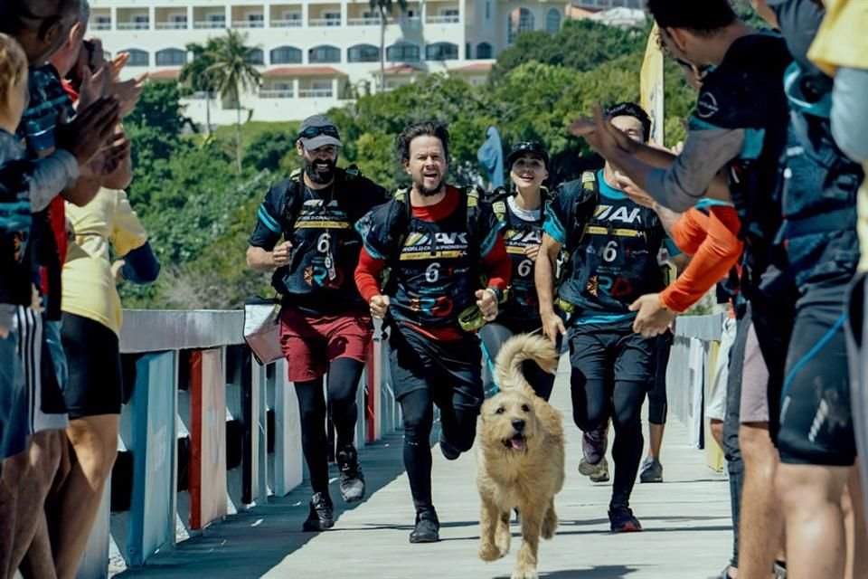 Mark Wahlberg interpreta a un atleta que hace una carrera de 700 kilómetros junto a un perro en 'Arthur, Una Amistad Sin Límites '.