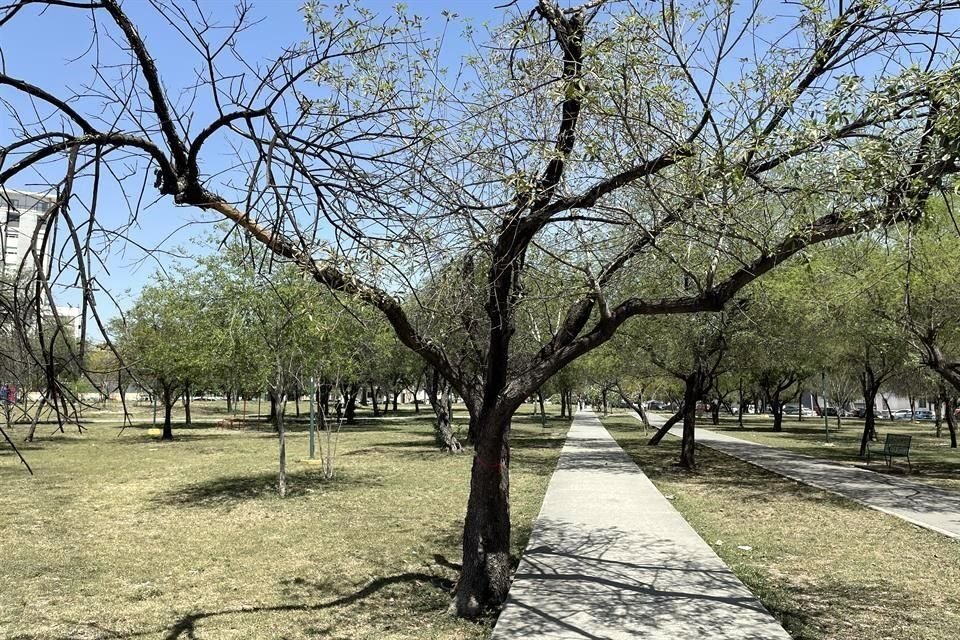 Las autoridades municipales justificaron la medida señalando que se está atendiendo una petición ciudadana presentada por medio de la mesa directiva de la Colonia Tecnológico.