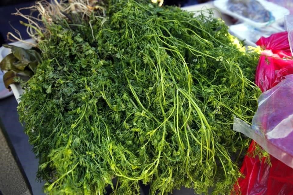 Oloroso cilantro criollo.