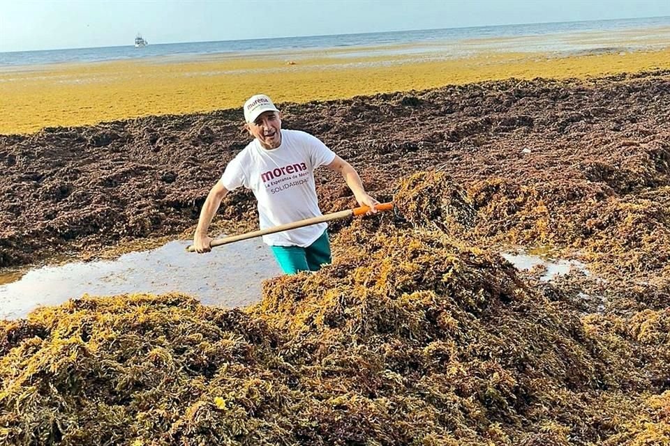 El recale de sargazo arruina la experiencia de los turistas en plena temporada alta. 