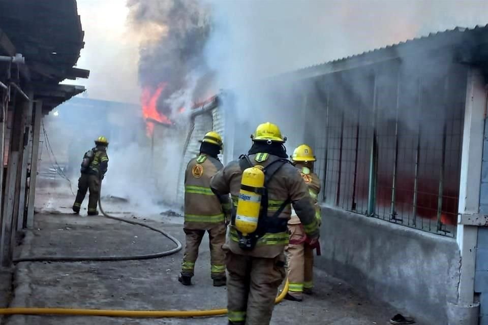 Al menos cinco locales fueron consumidos por el fuego.