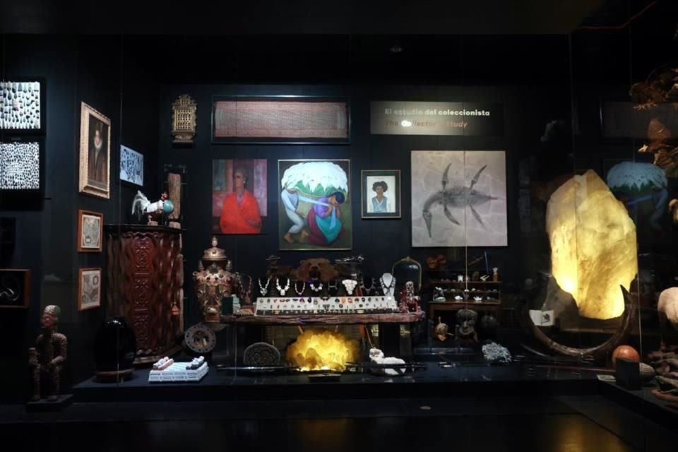 Conocidos también como 'cuarto de maravillas', el gabinete de curiosidades es una tradición europea del Renacimiento.