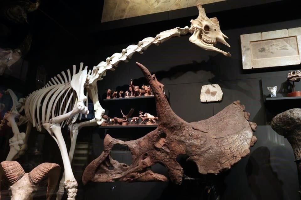 El Museo La Milarca ha sido impulsado por Mauricio Fernández y el recinto albergará colecciones de su familia.