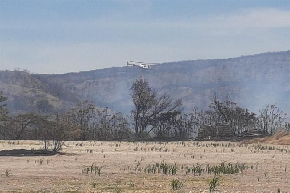 41 brigadistas atienden el incendio en La Primavera.