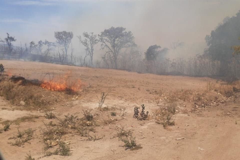 El incendio en La Primavera ocurre en el Paraje Los Ocotes Tlajomulco.