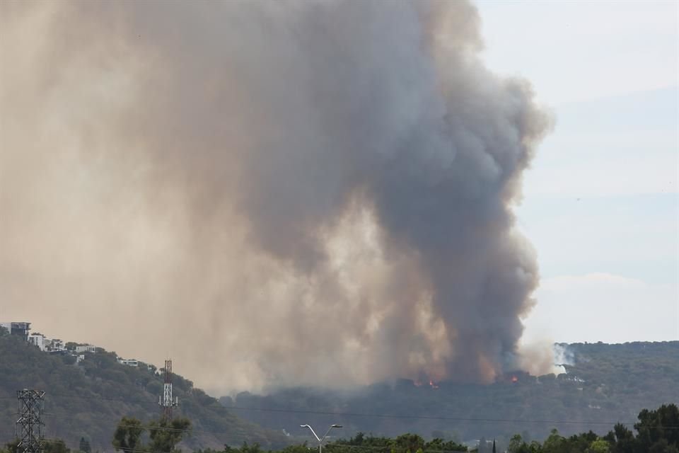 Incendio en el bosque La Primavera, a espaldas del fraccionamiento El Roble, genera una columna de humo que se ve en gran parte de la ZMG.