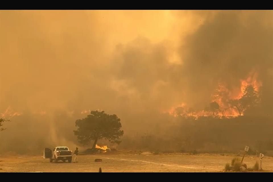 El incendio afectó arbolado adulto y la intensa nube de humo enturbió la atmósfera.