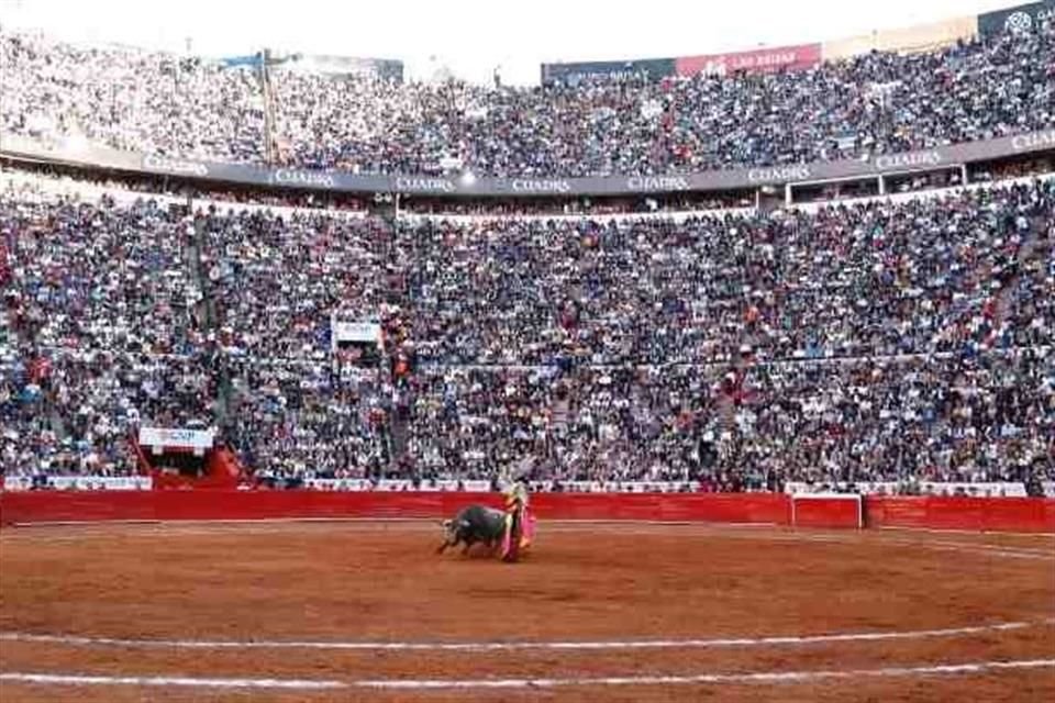 El diputado Royfid Torres, impulsor de la prohibición de las corridas de toros en la Ciudad, celebró el avance de la propuesta ciudadana. 